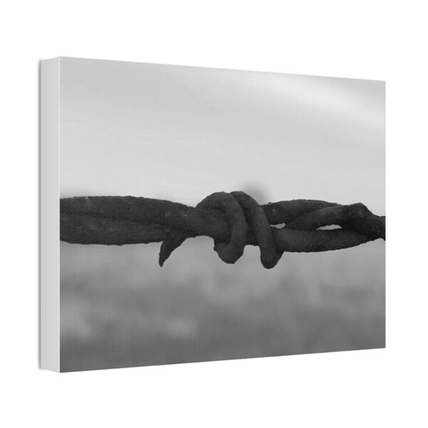 Stretched Canvas "Barbwire" - Image 10