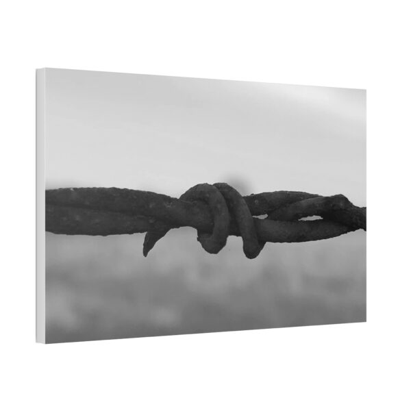 Stretched Canvas "Barbwire" - Image 26