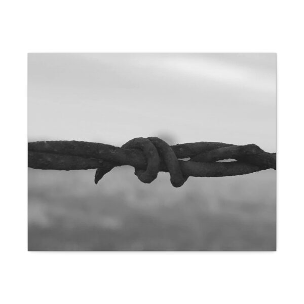 Stretched Canvas "Barbwire" - Image 13
