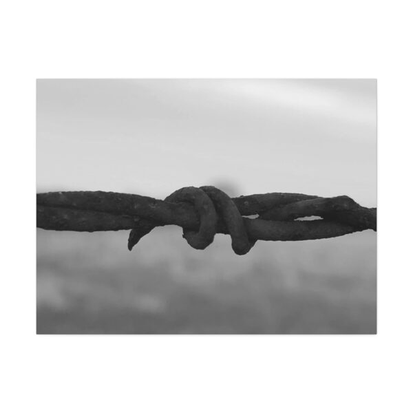 Stretched Canvas "Barbwire" - Image 21