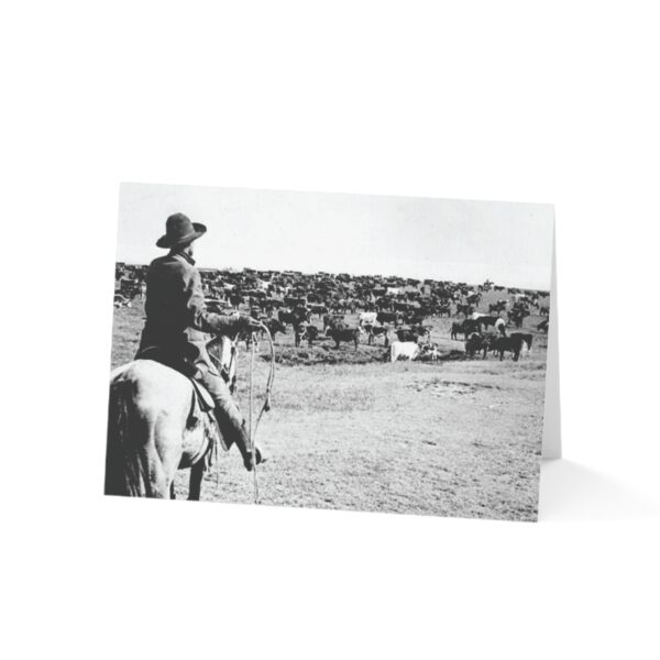 Greeting Cards "Cattle Drive" (1, 10, 30, and 50pcs) - Image 10