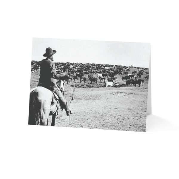Greeting Cards "Cattle Drive" (1, 10, 30, and 50pcs) - Image 42
