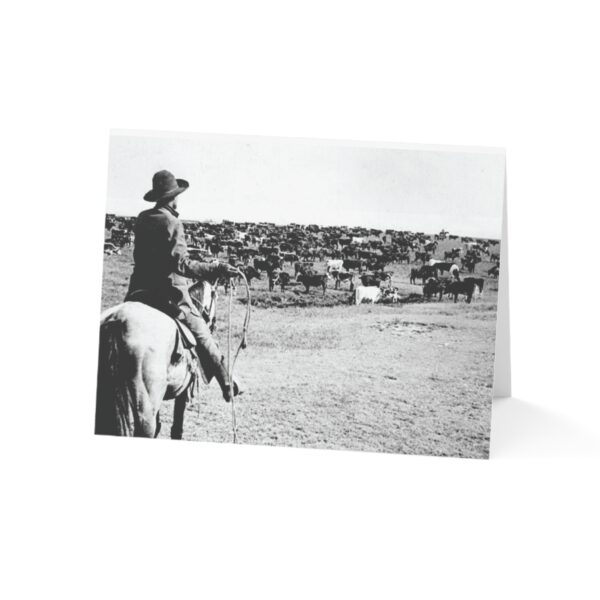 Greeting Cards "Cattle Drive" (1, 10, 30, and 50pcs) - Image 26