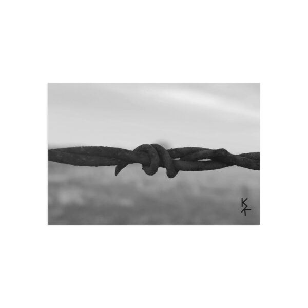 Postcards "Barbwire" - Image 5