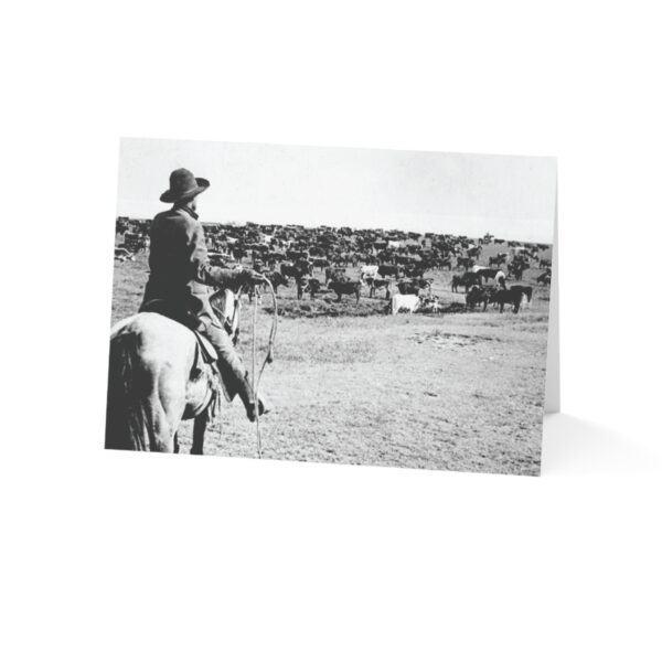 Greeting Cards "Cattle Drive" (1, 10, 30, and 50pcs) - Image 106
