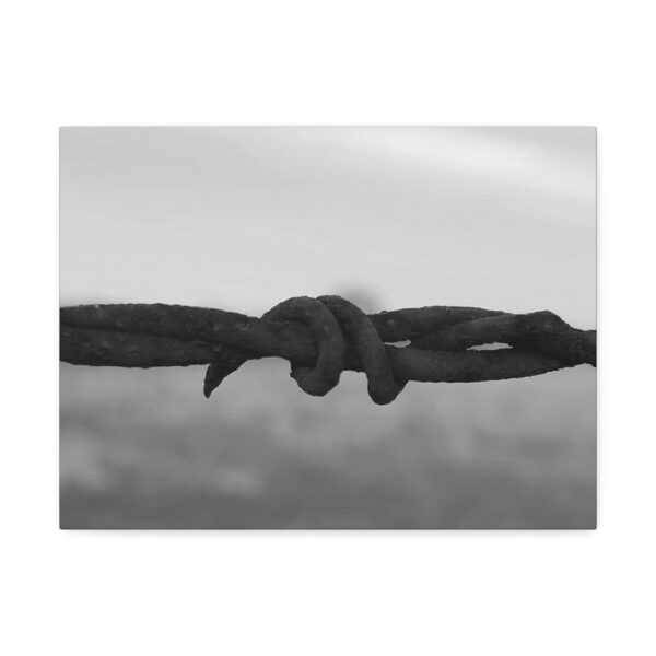 Stretched Canvas "Barbwire" - Image 9