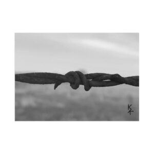 Postcards "Barbwire"