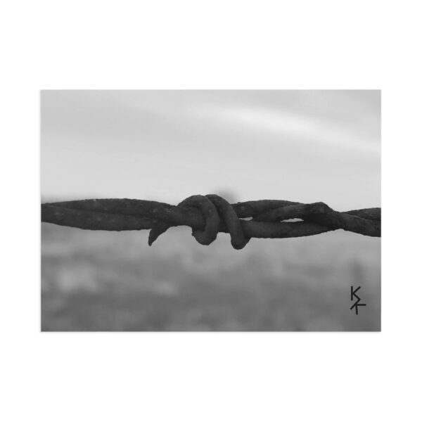Postcards "Barbwire"