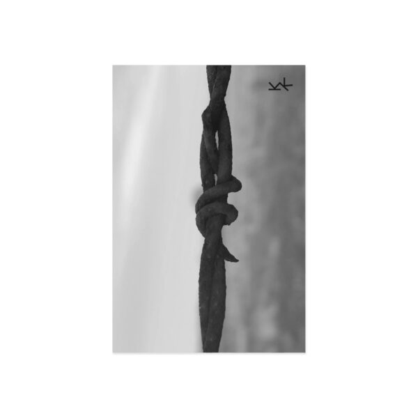 Postcards "Barbwire" - Image 6