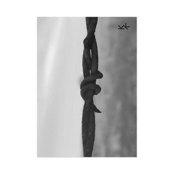 Postcards "Barbwire" - Image 2
