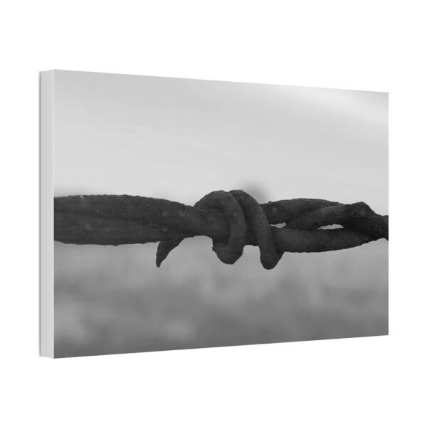 Stretched Canvas "Barbwire" - Image 6