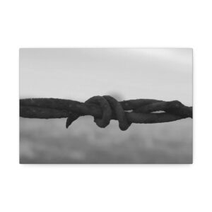 Stretched Canvas "Barbwire"