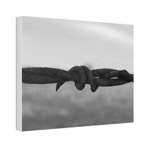 Stretched Canvas "Barbwire" - Image 14