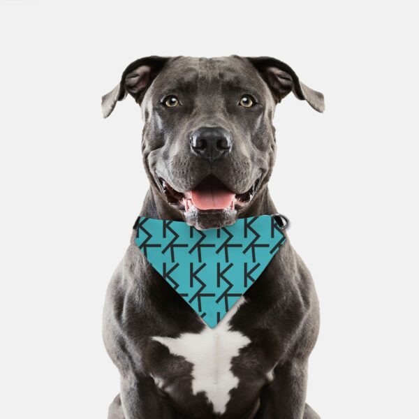 Pet Collar + Bandana