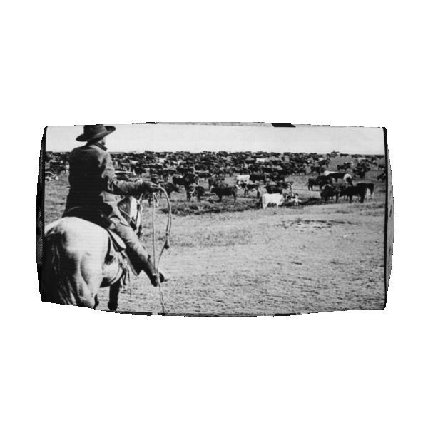Duffle Bag "Cattle Drive" - Image 5