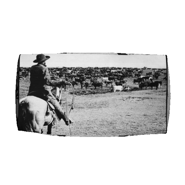 Duffle Bag "Cattle Drive" - Image 14